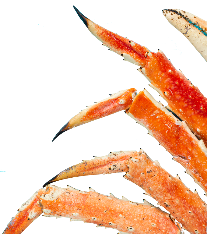 Waste product turn into Chitin and Chitosan with our manufacture facility and able to supply with massive quantity